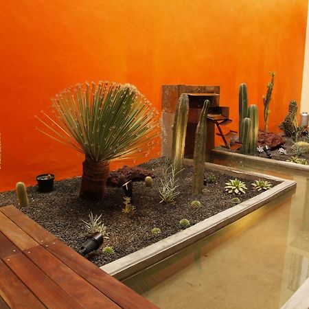 Coyoacán - Inn  Città del Messico Esterno foto